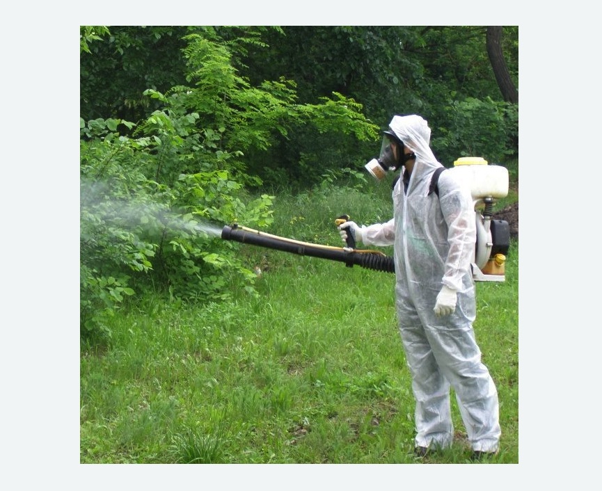 обработка территории от клещей в Коптево города Москвы