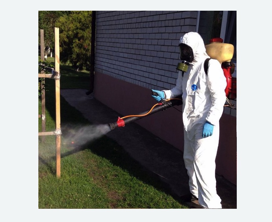 травля клещей на участке в Коптево города Москвы