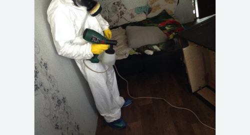 Обработка квартир от насекомых в Коптево города Москвы