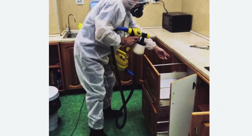 Дезинсекция квартиры. Коптево 