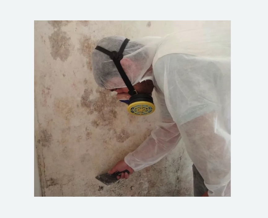 Обработка стен от плесени в Коптево города Москвы