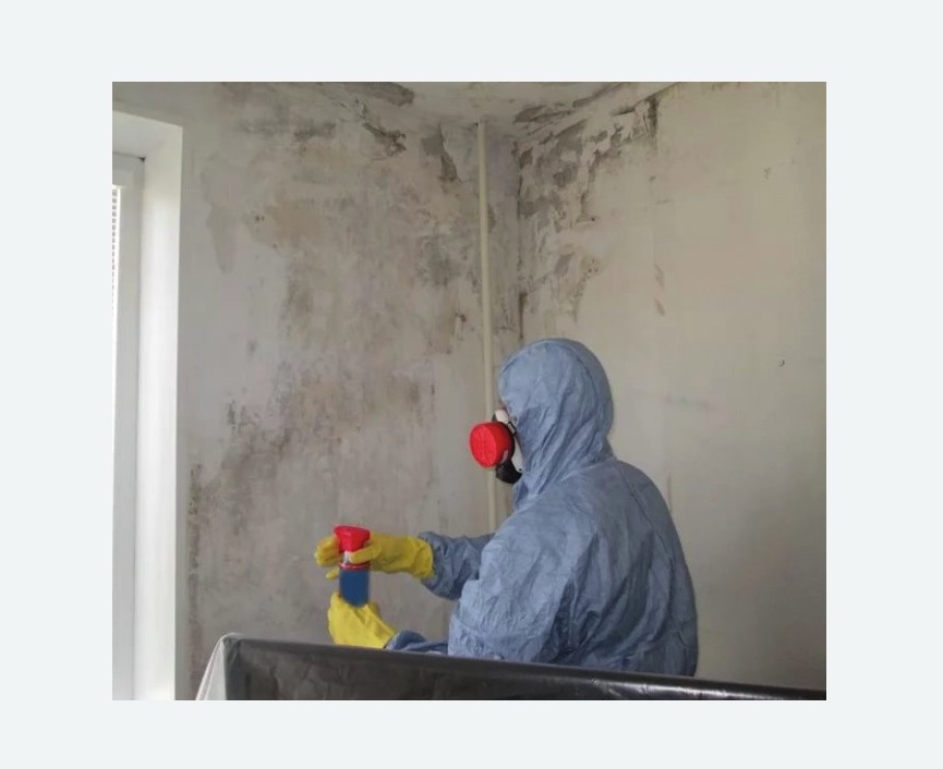 Удаление плесени в квартире в Коптево города Москвы