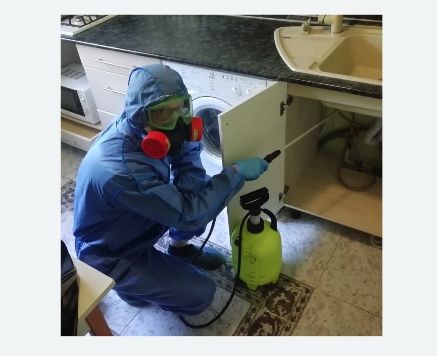 обработка от муравьев в квартире в Коптево города Москвы