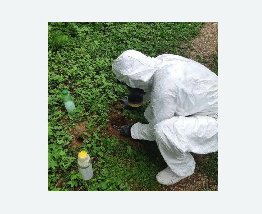 уничтожение кротов на участке в Коптево города Москвы